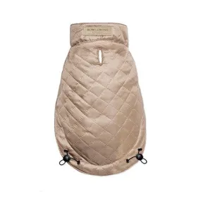 Spirit Dog Jacket (Gold)
