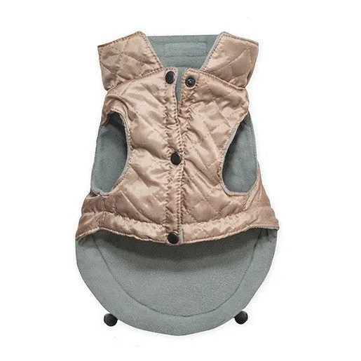 Spirit Dog Jacket (Gold)