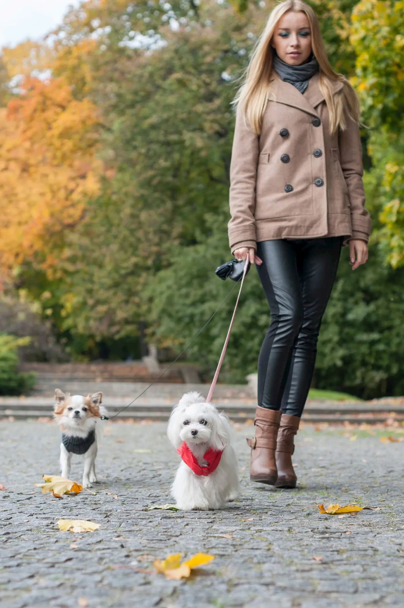 Spirit Dog Jacket (Red)